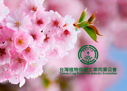 臺灣植物保護工業同業公會-一草一木作品案例，採用W3C規範、RWD技術、自動生成sitemap功能