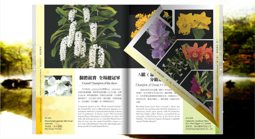 互動電子書光碟案例二-一草一木作品案例，互動式DVD